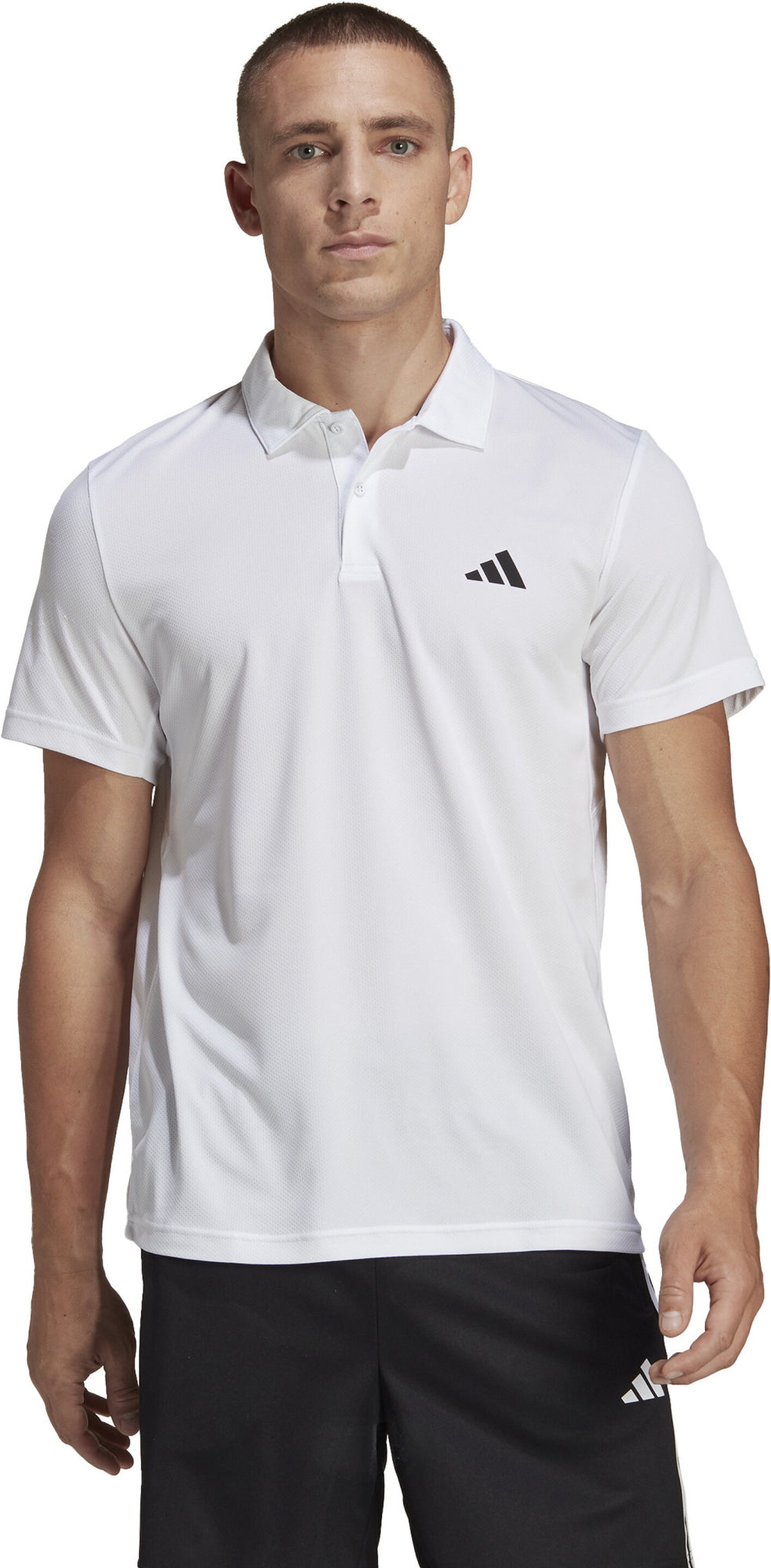 Adidas Poloshirts  weiß