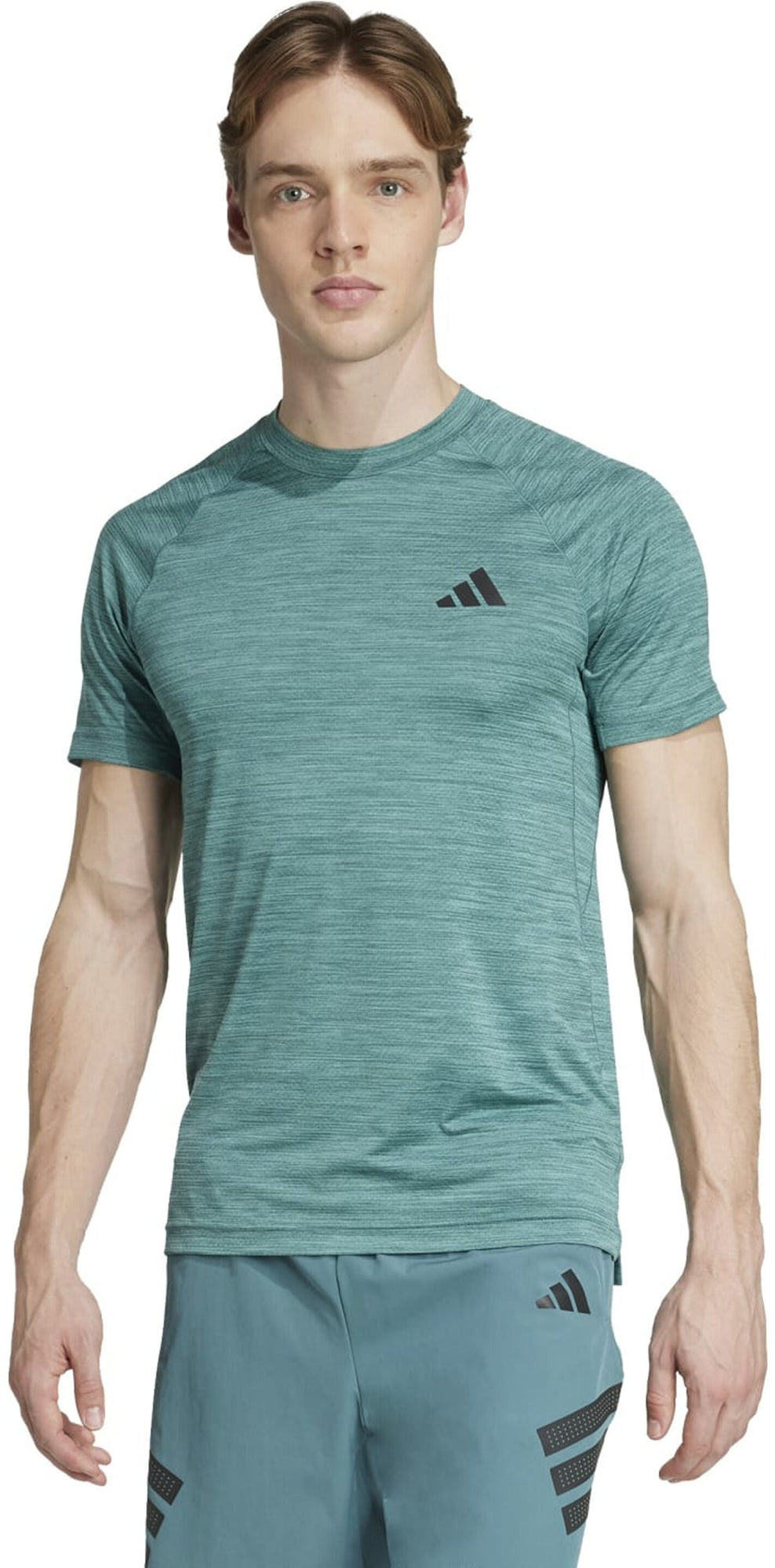 Adidas T-Shirts  grün