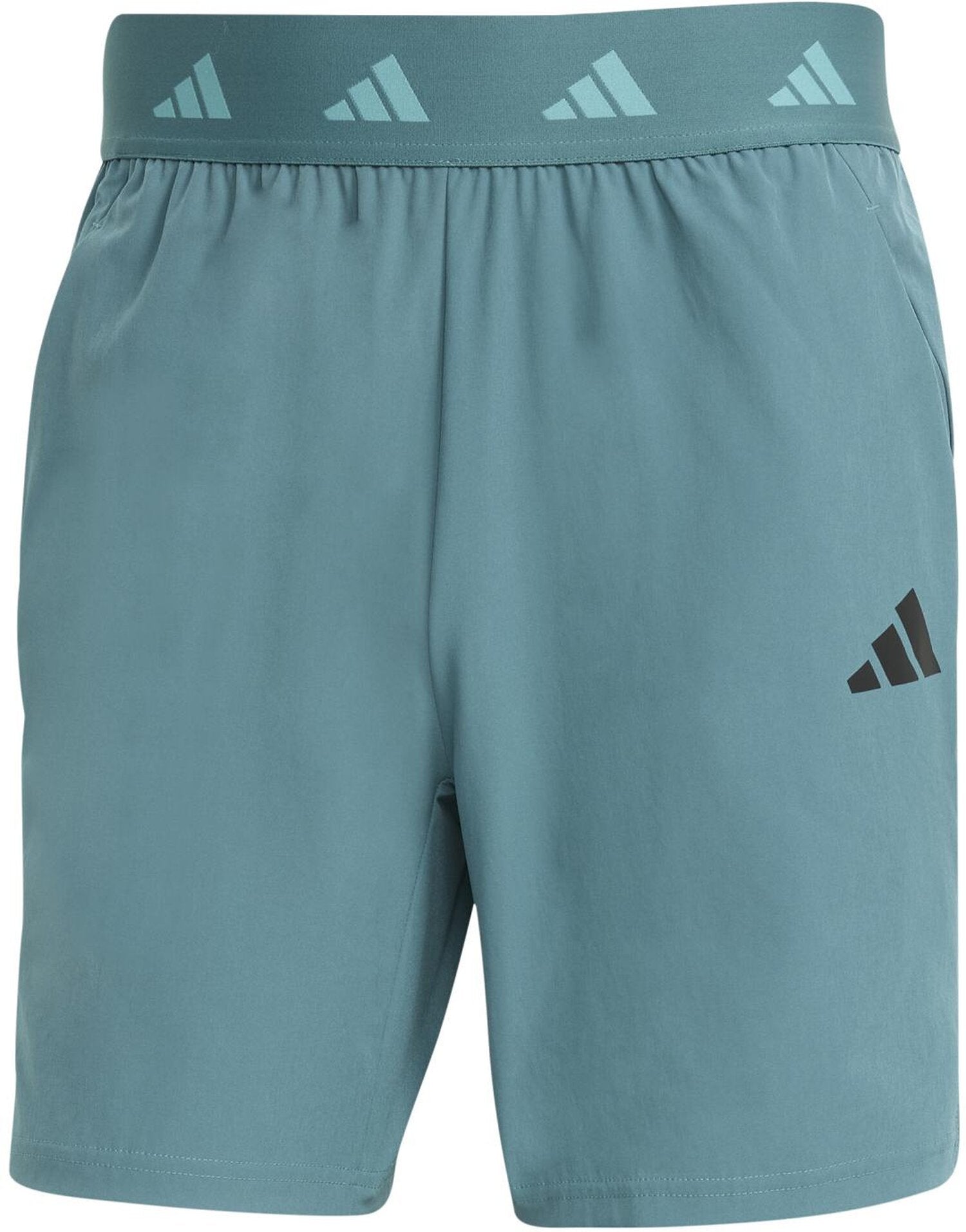 Adidas Shorts  grün