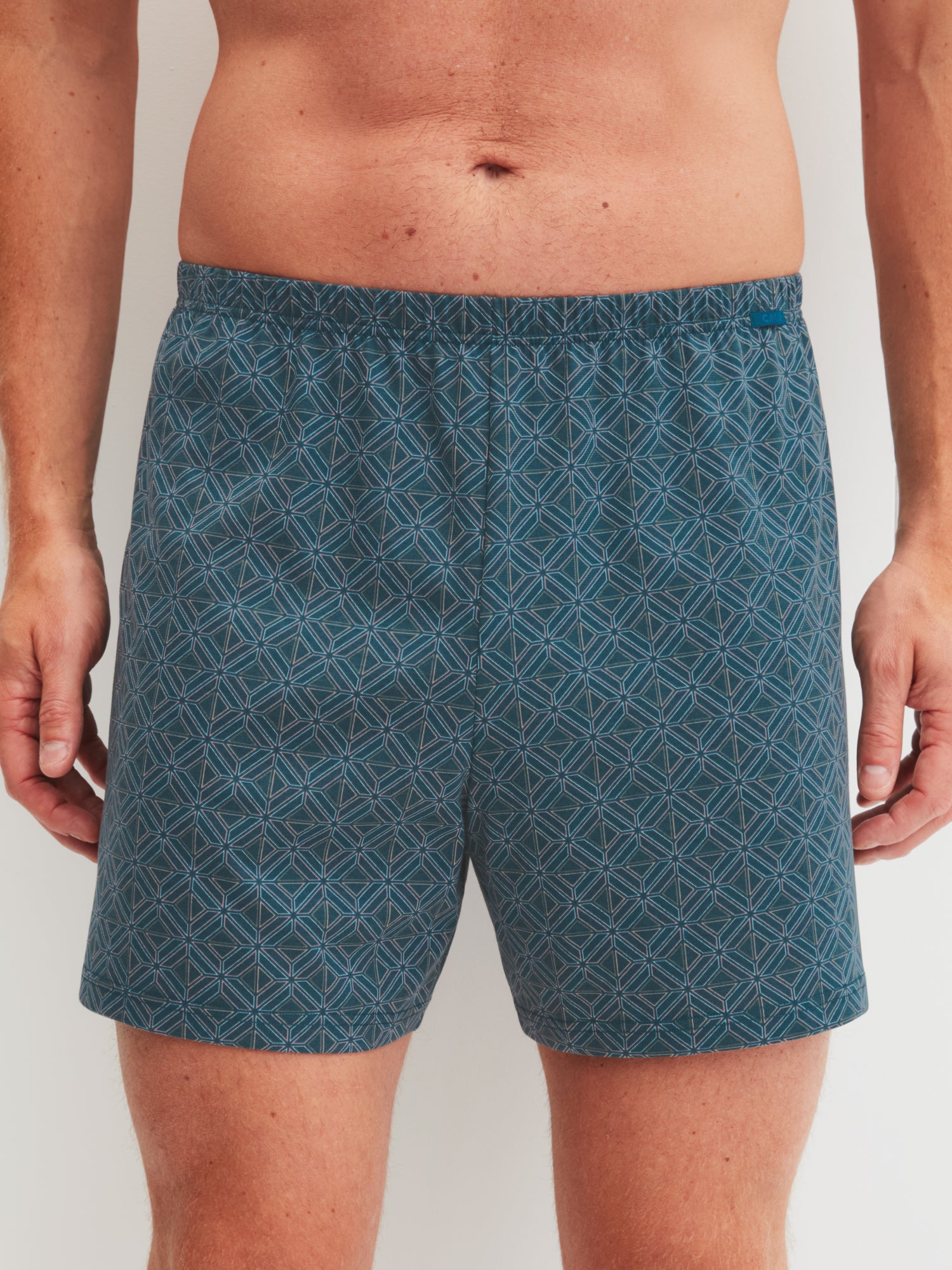 Calida Unterhosen blau