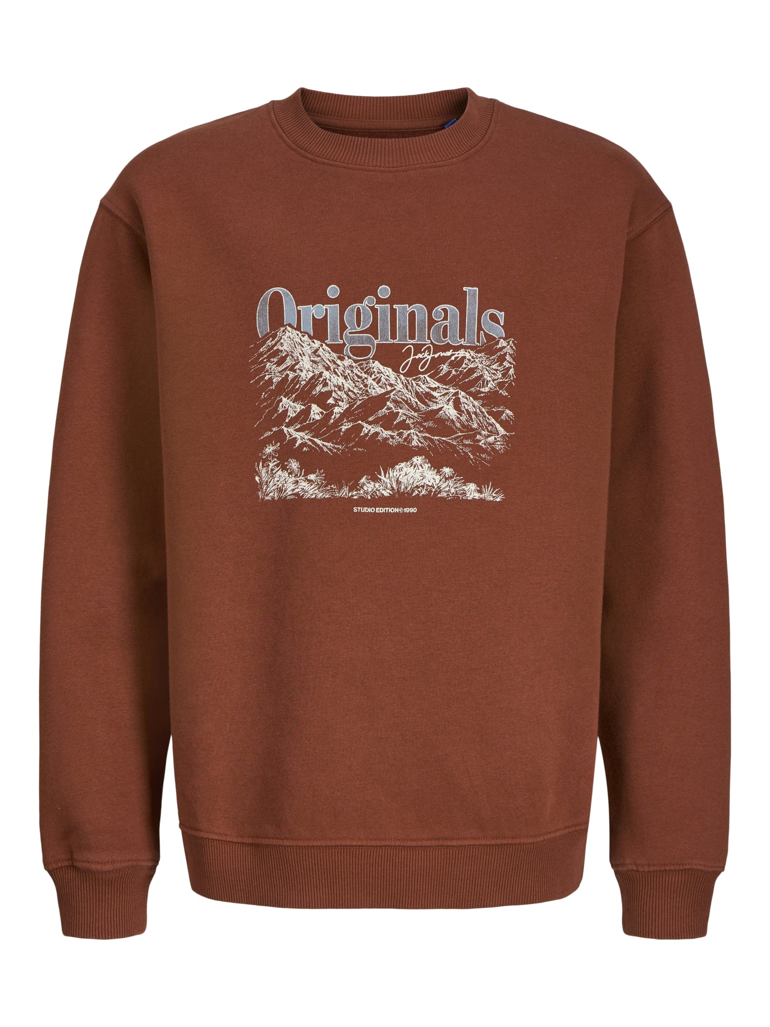 Jack & Jones Pullis & Hoodies braun