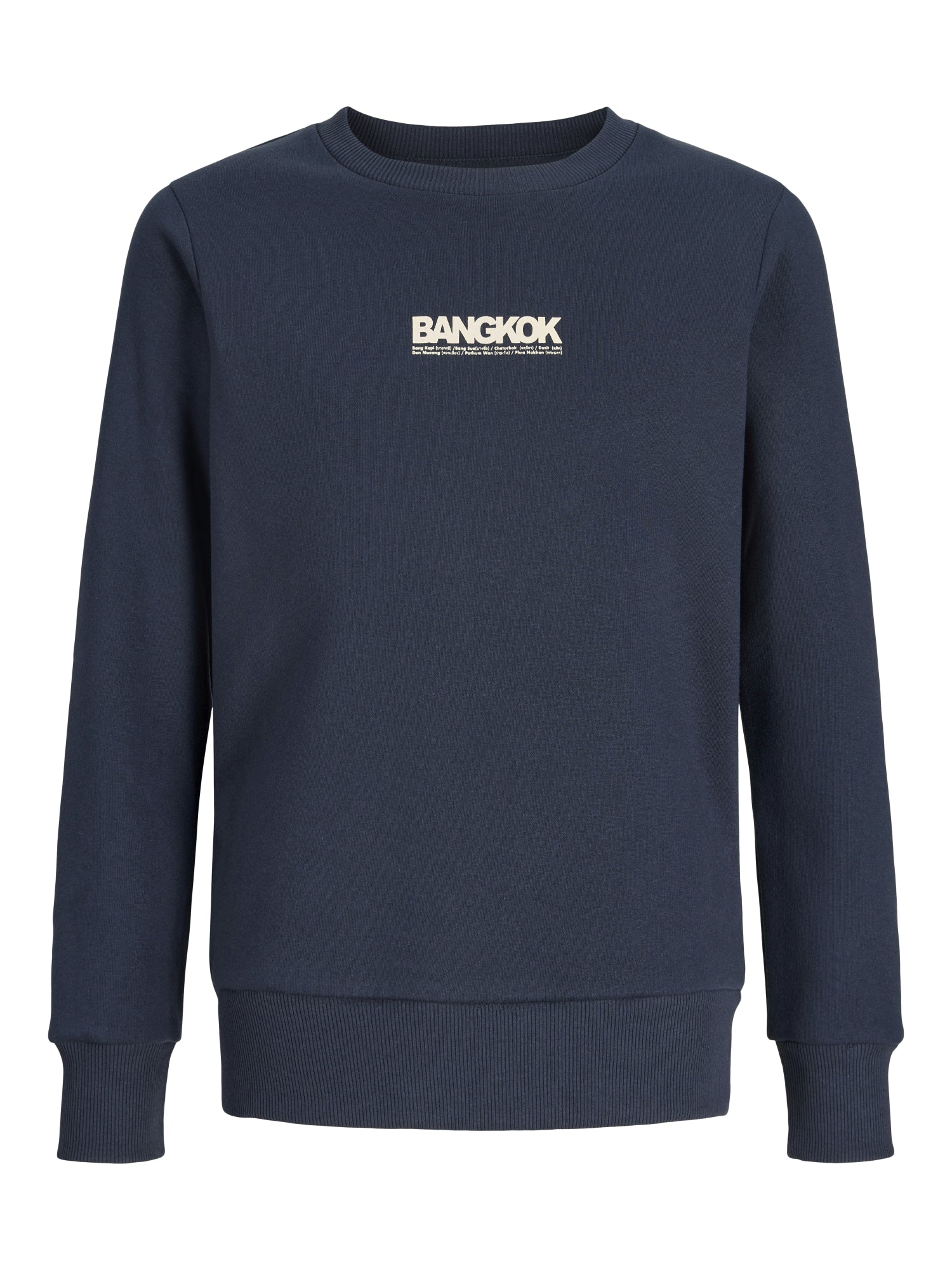 Jack & Jones Pullis & Hoodies dunkelblau