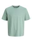 Jack & Jones T-Shirts mint