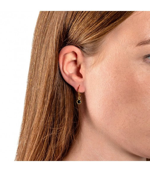 Leonardo Ohrringe  gold