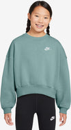 Nike Sweatshirts  grau