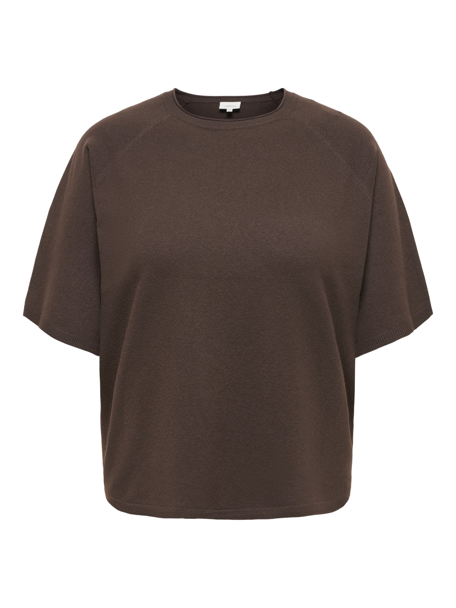 ONLY Carmakoma Pullover braun