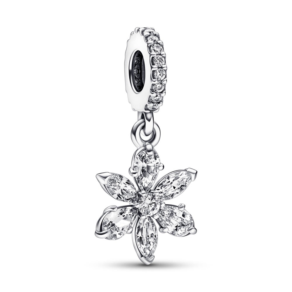 Pandora Charms, Anhänger silber