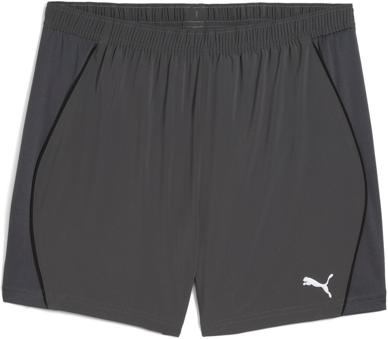 Puma Shorts  grau