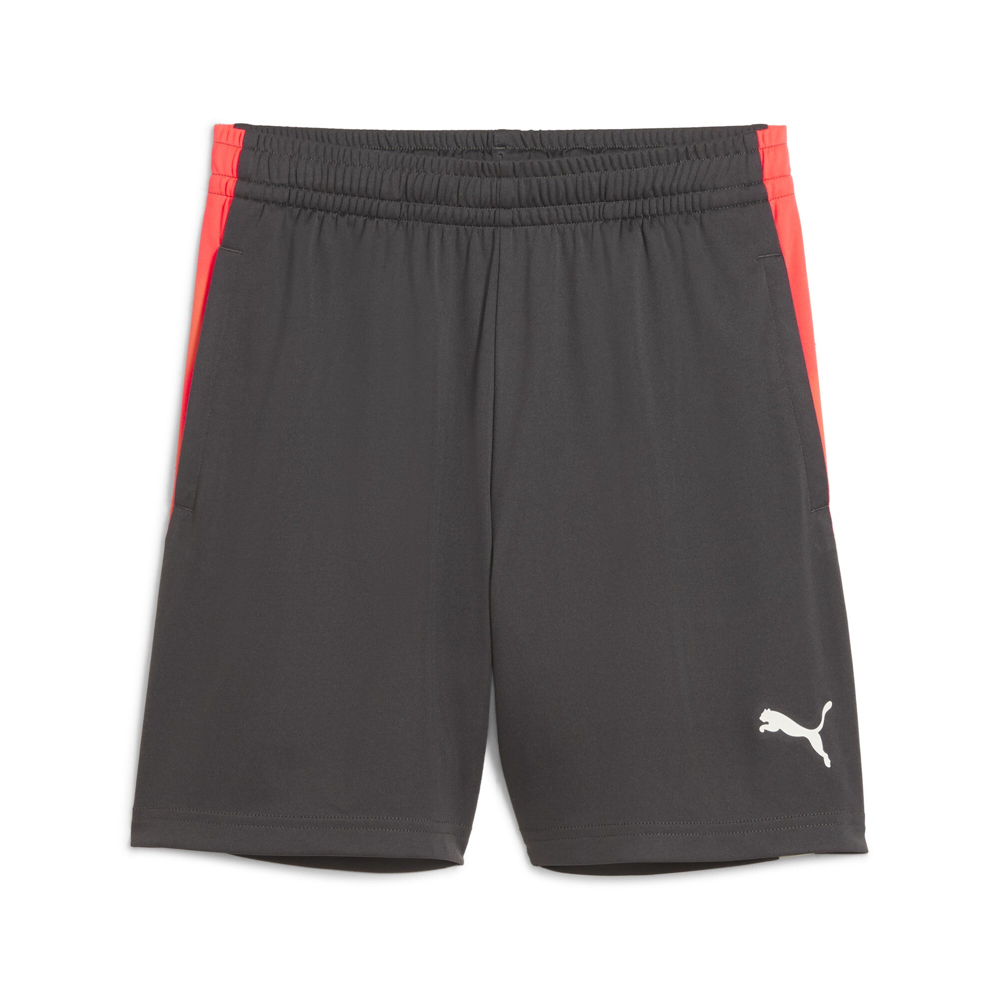 Puma Shorts grau