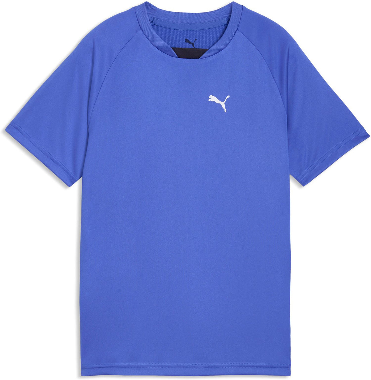 Puma Shirts blau