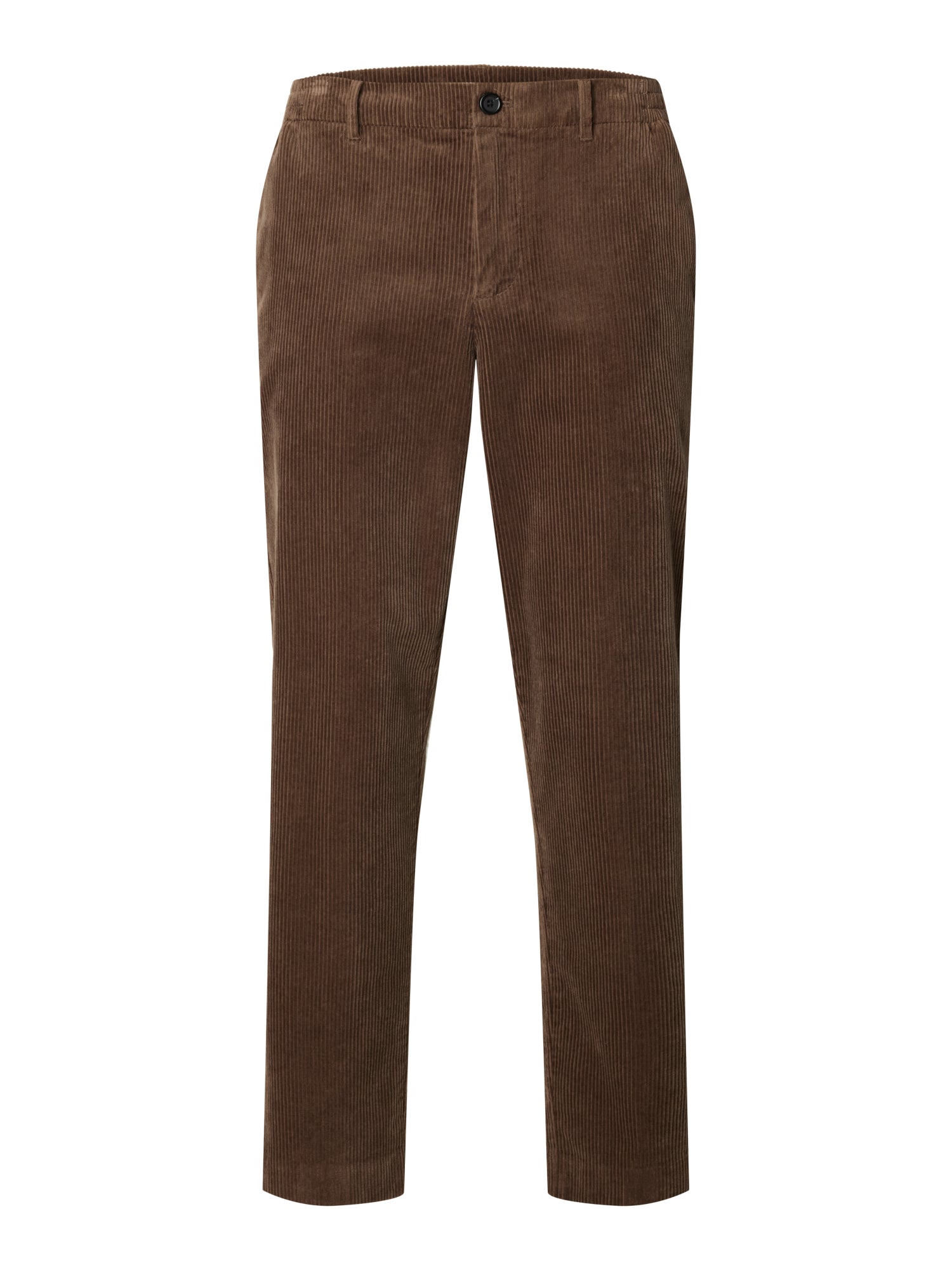 Selected Chinos braun