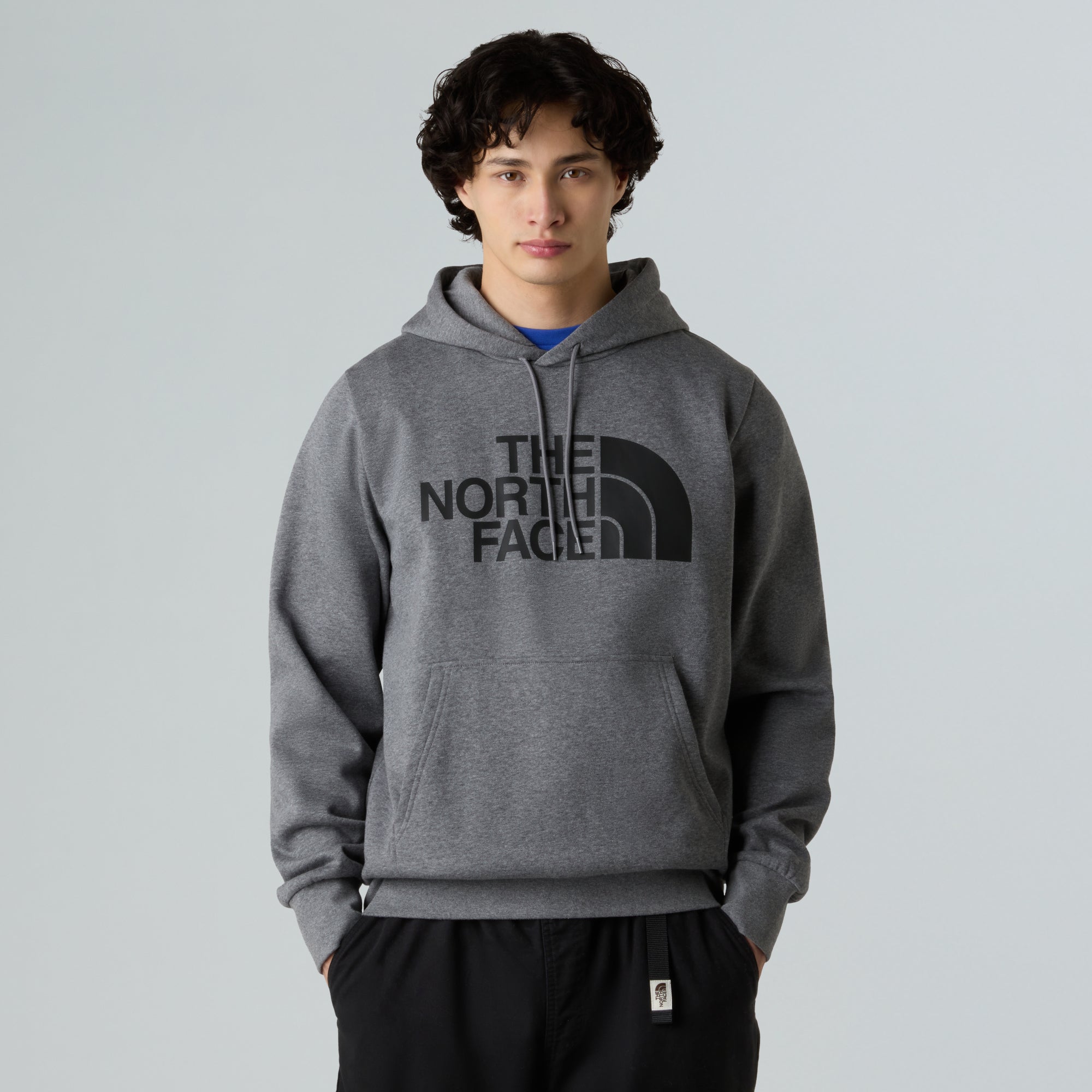 The North Face Sweatshirts grau