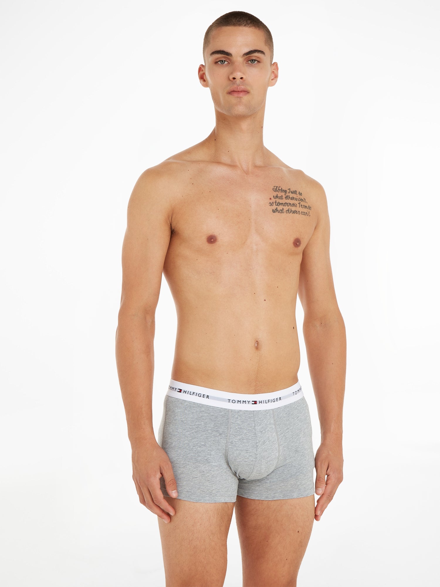 Tommy Hilfiger Unterhosen  grau