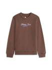 Tommy Jeans Sweatshirts braun