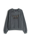 Tommy Jeans Sweatshirts  grau