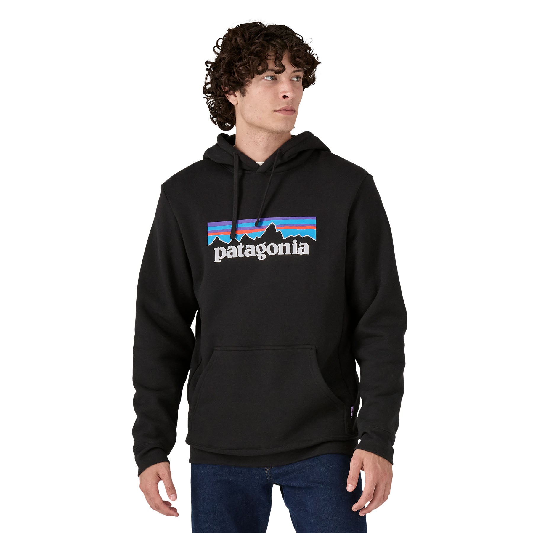 patagonia Hoodies schwarz