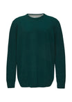 s.Oliver PLUS Pullover grün