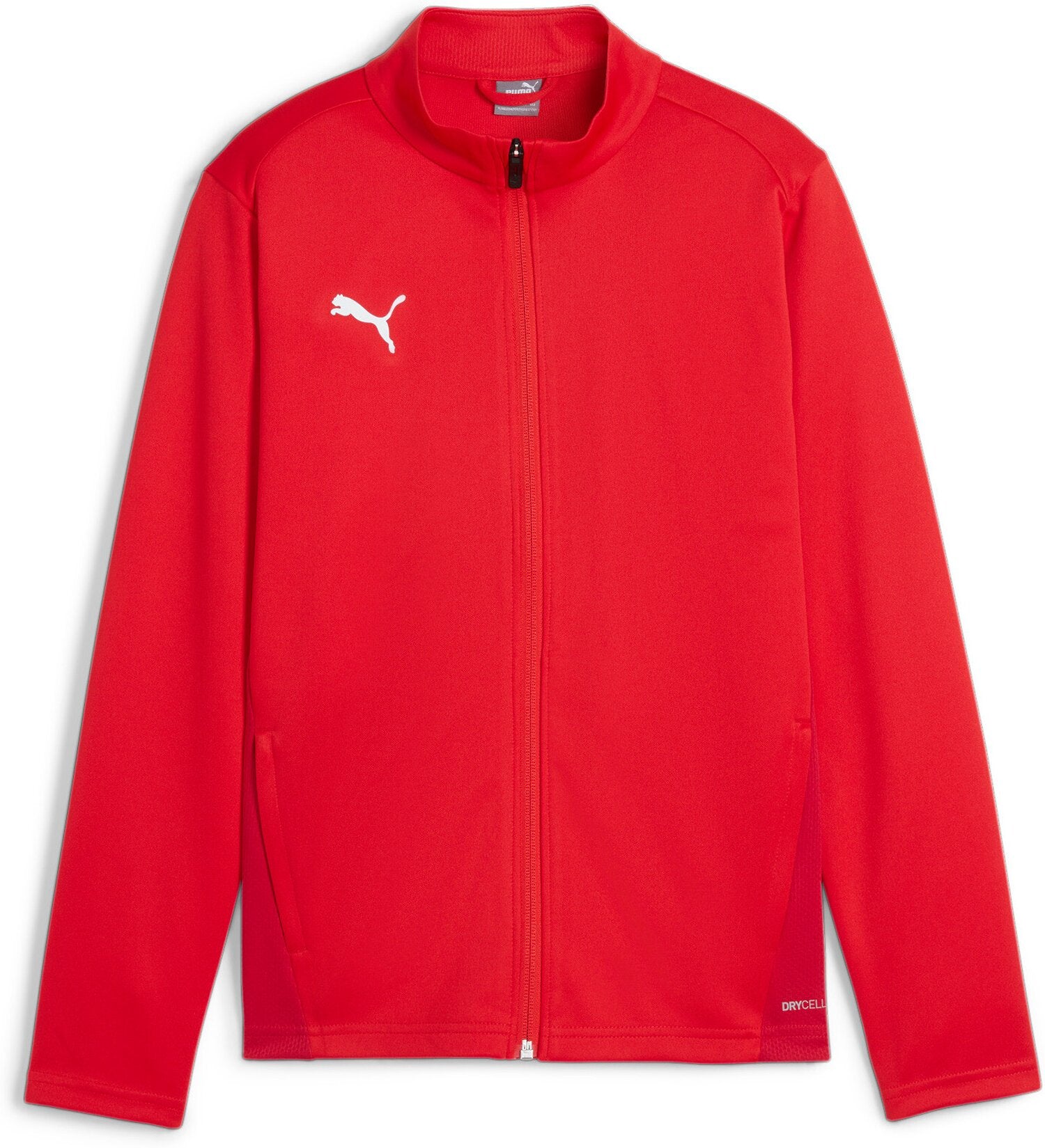 ASV Cham ASV Cham  rot