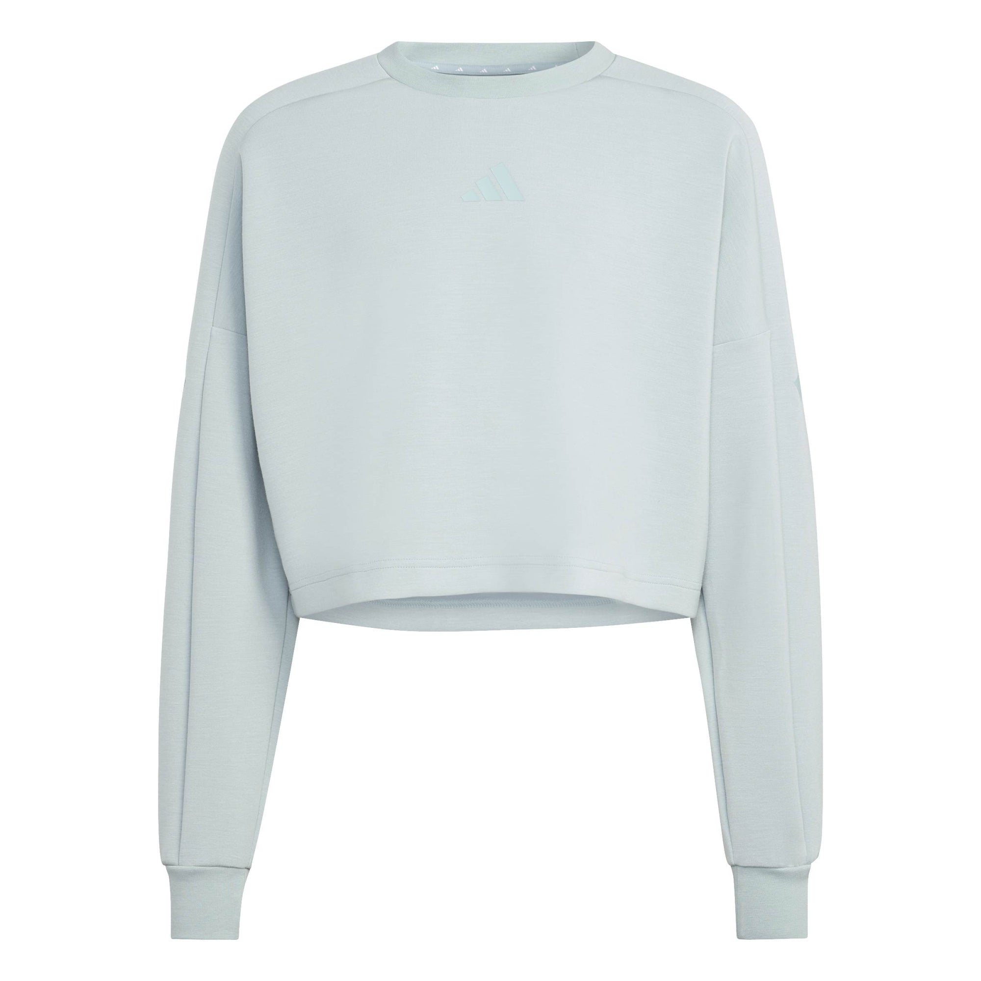 Adidas Sweatshirts  grau