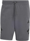 Adidas Shorts  grau