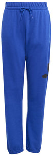 Adidas Jogginghosen  blau