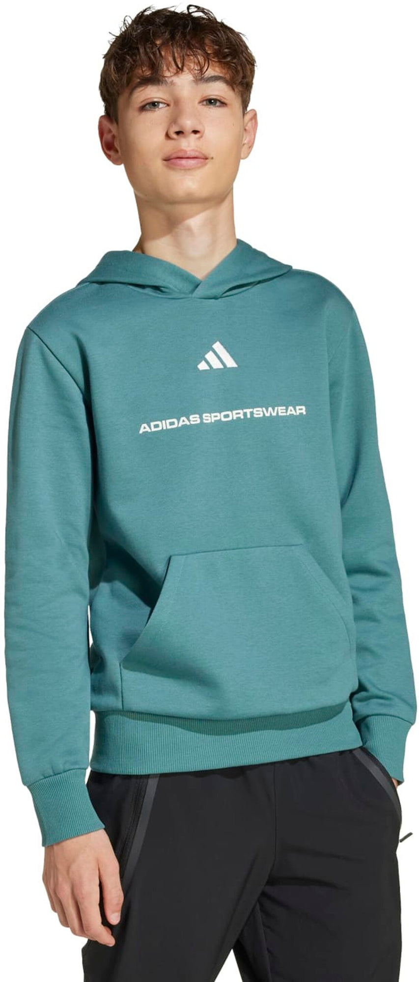 Adidas Sweatshirts  petrol
