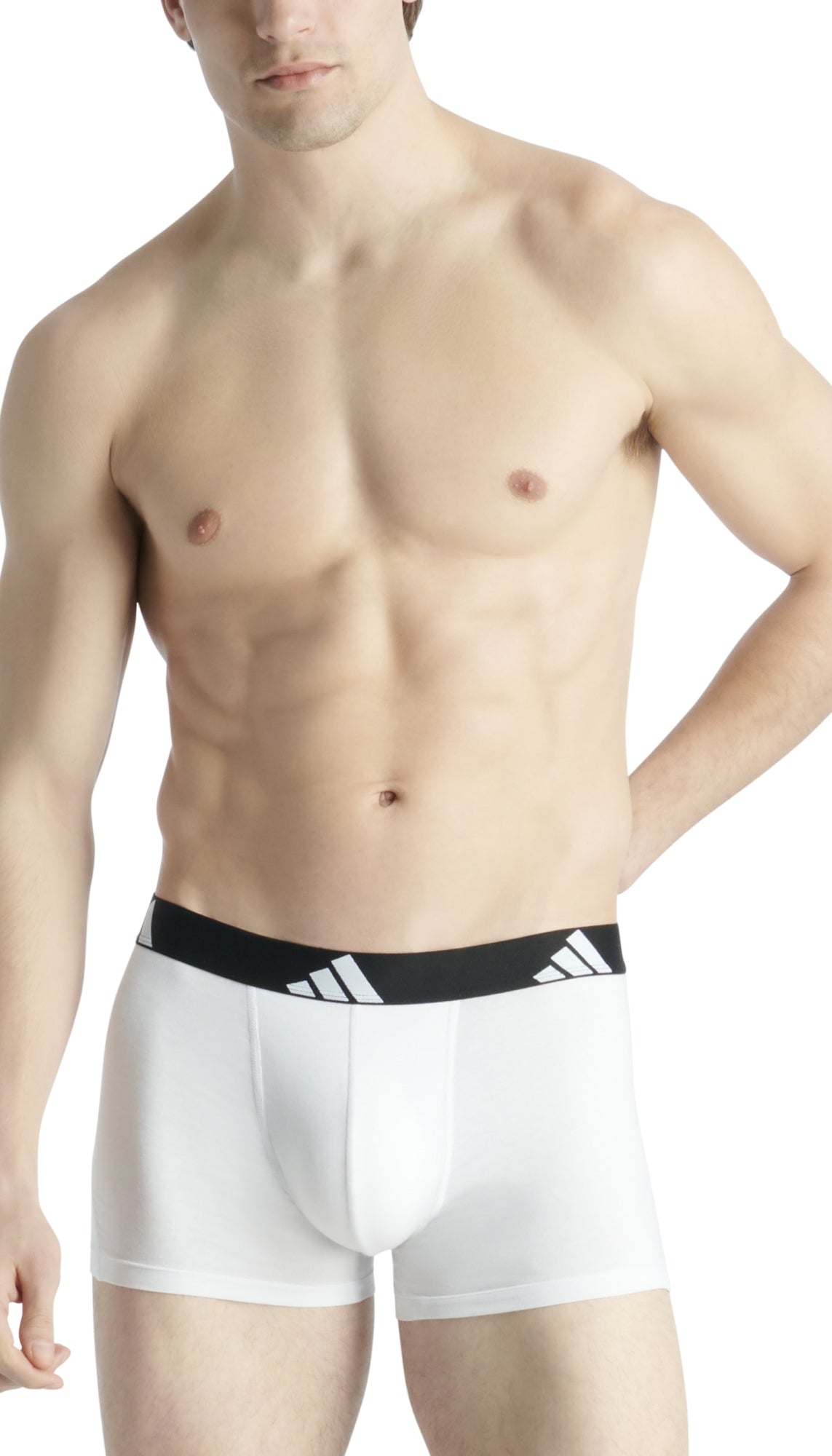 Adidas - Schiesser Unterhosen  weiß