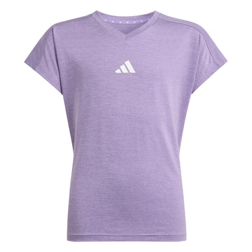 Shirt Go-To V-Neck