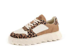 Apple of Eden Sneaker  braun