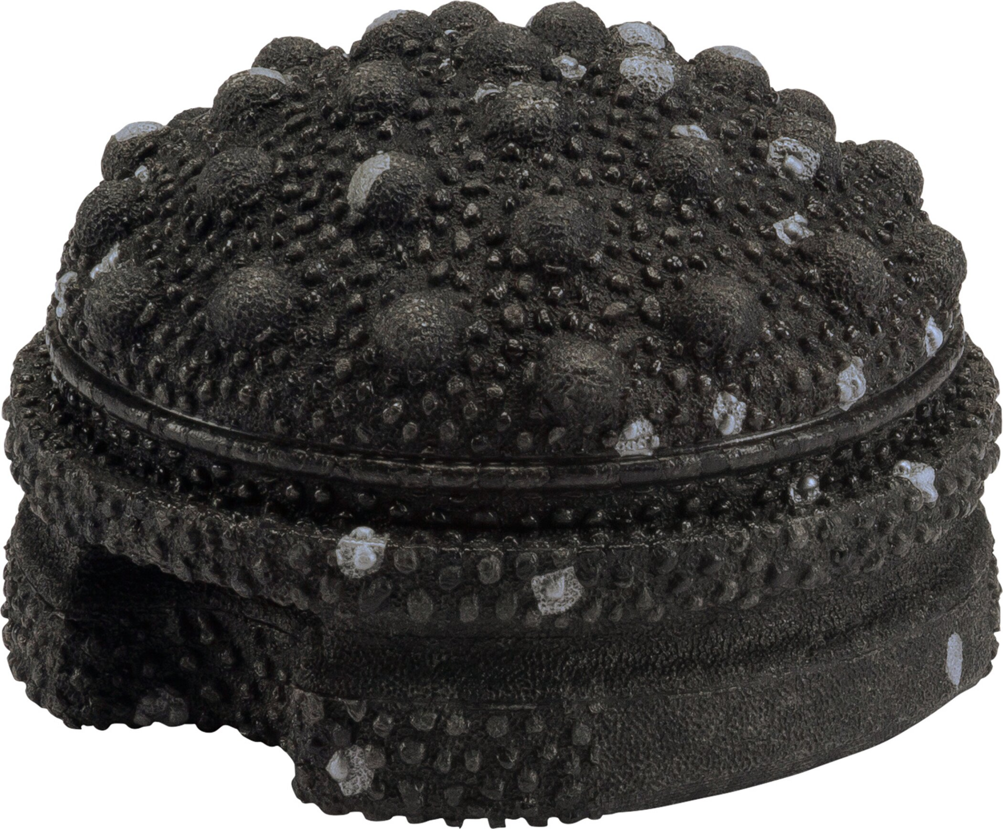 Blackroll Fitnessgeräte  schwarz