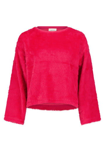 Sweatshirt mit Rundhalsausschnitt