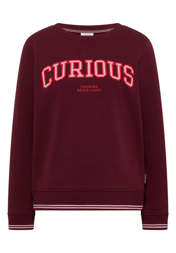 Sweatshirt mit Stickerei