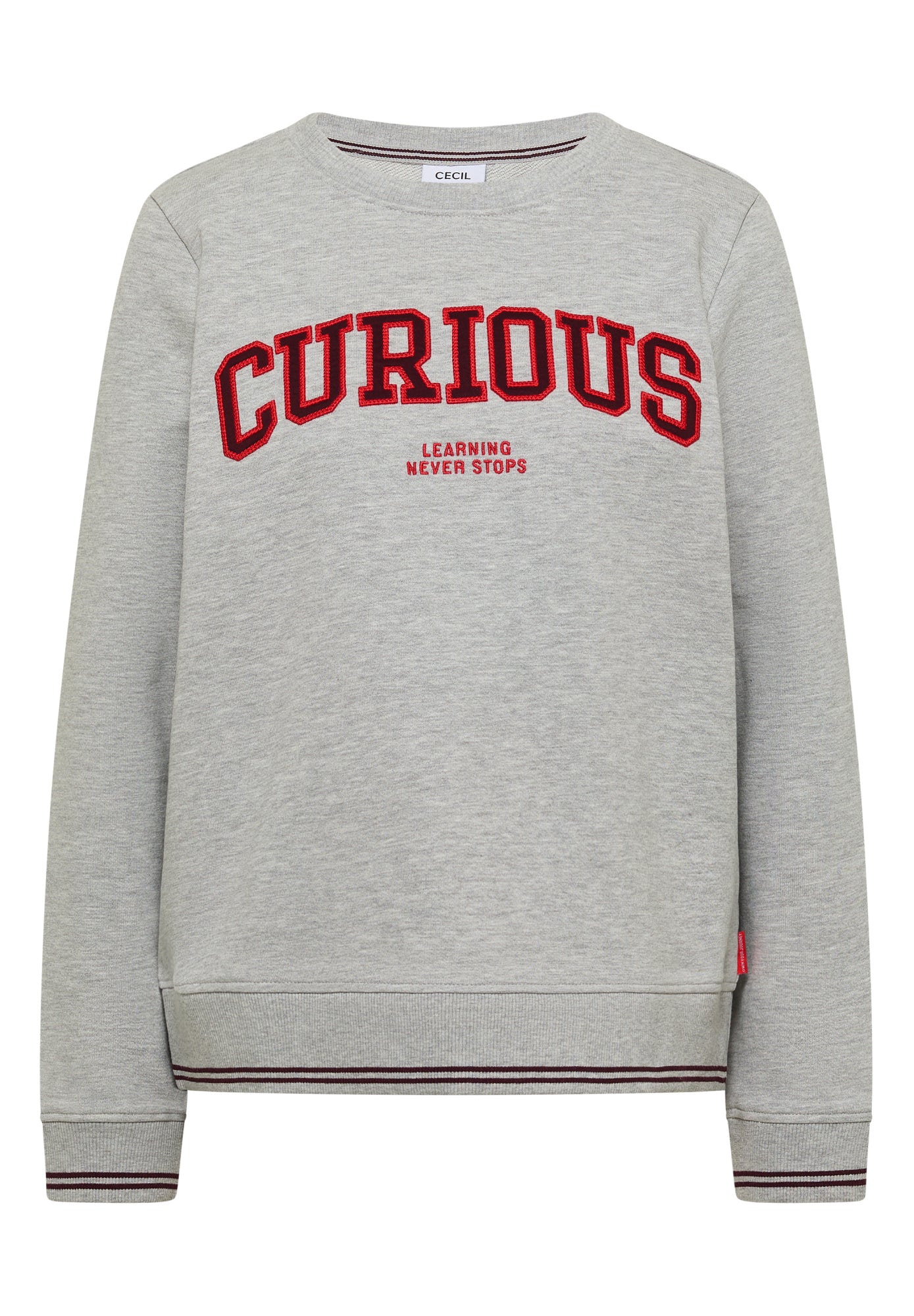 Cecil Sweatshirts  hellgrau