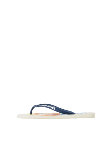 Flip Flop