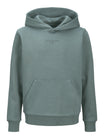 Jack & Jones Pullis & Hoodies  grün