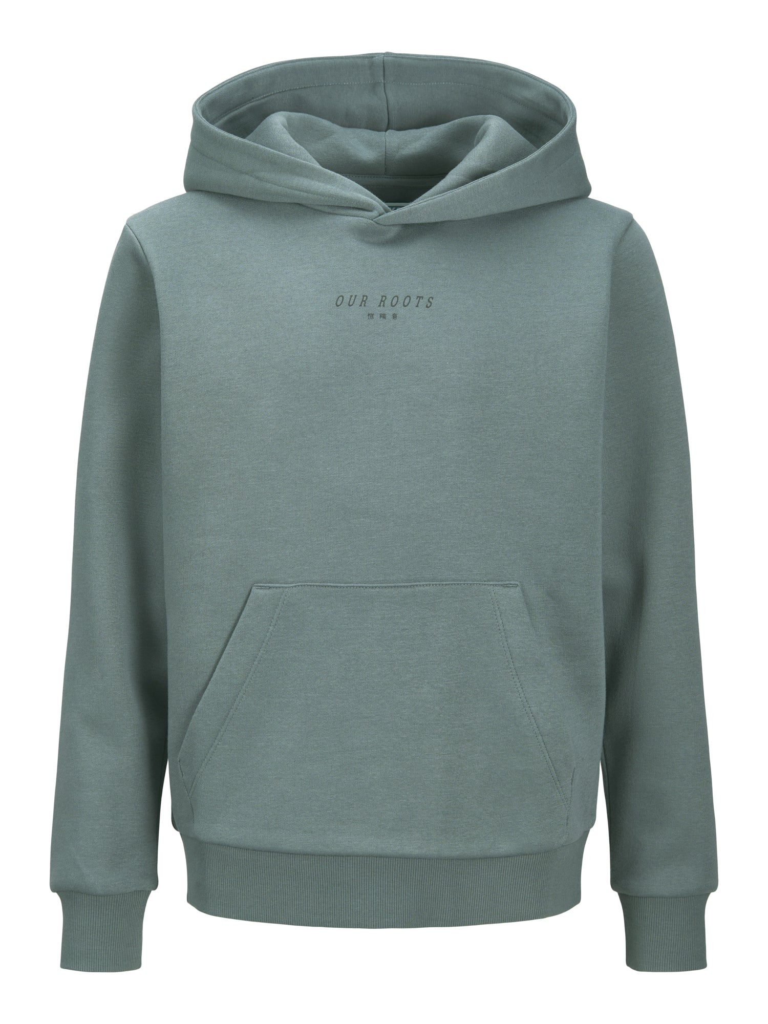 Jack & Jones Pullis & Hoodies  grün