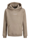 Jack & Jones Pullis & Hoodies  hellbraun
