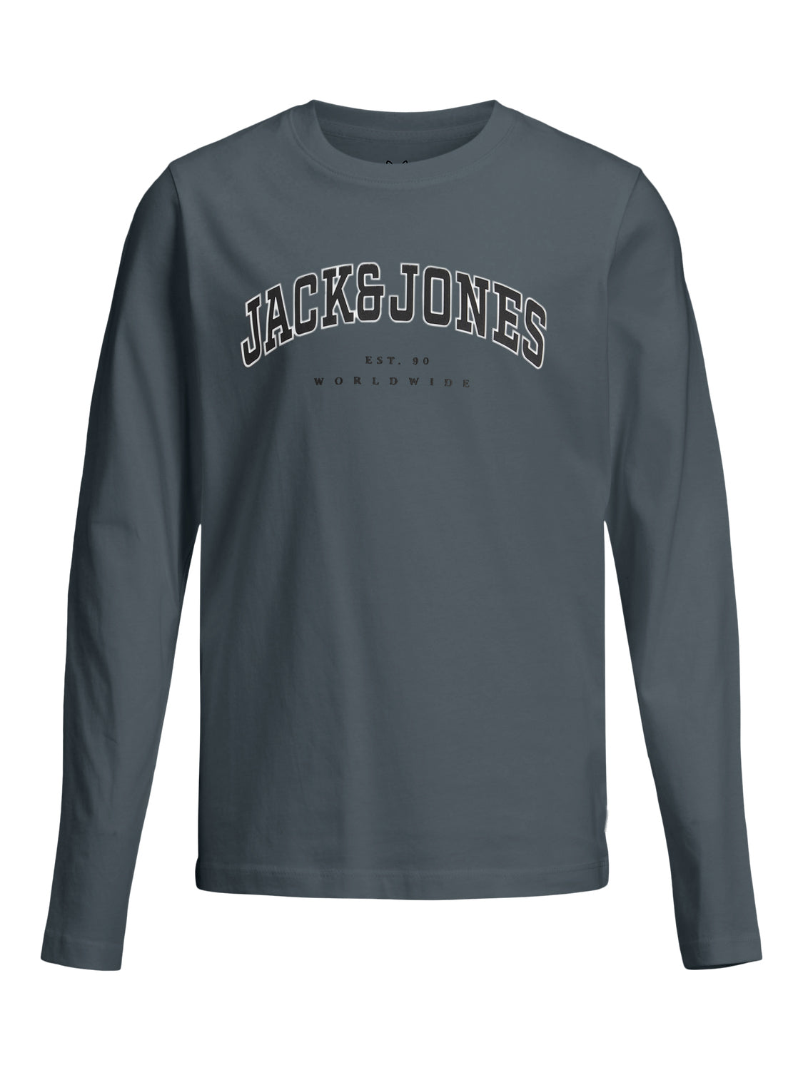 Jack & Jones Shirts & Hemden  dunkelgrau