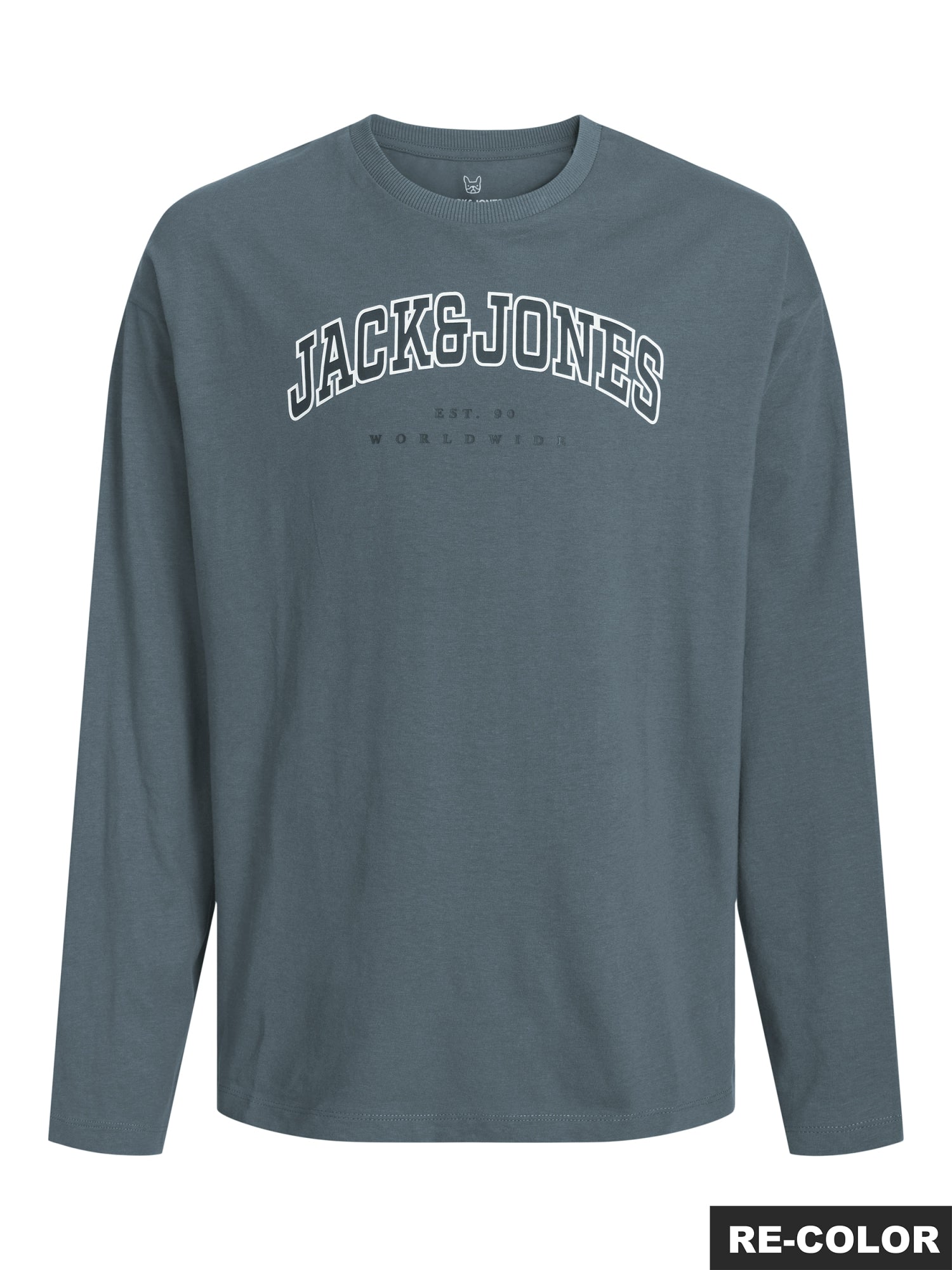 Jack & Jones Shirts & Hemden  dunkelgrau