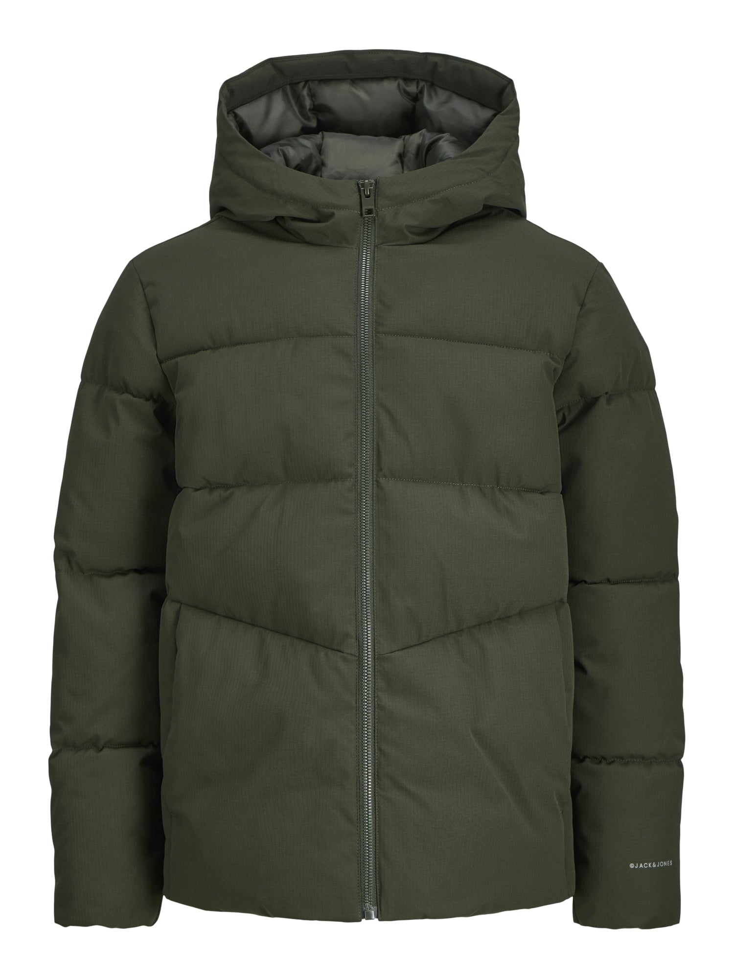 Jack & Jones Jacken  oliv