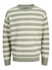 Jack & Jones Pullis & Hoodies  nicht definiert