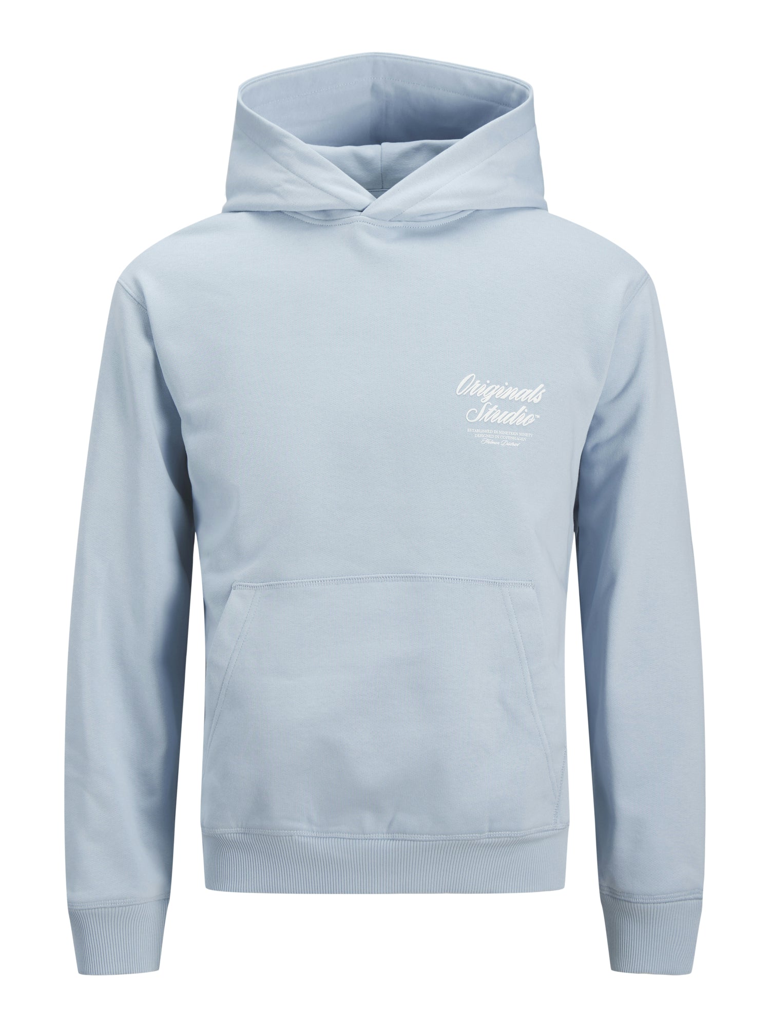 Jack&Jones PLUS Hoodies  hellblau