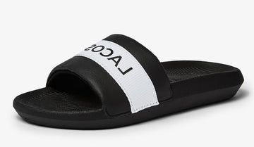 Slides 