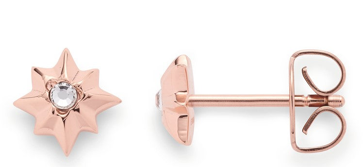Leonardo Ohrringe  roségold