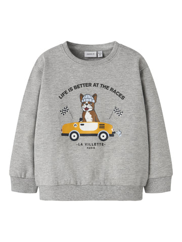 Sweatshirt mit Frontprint
