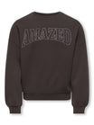 ONLY Kids Pullis & Sweats  braun