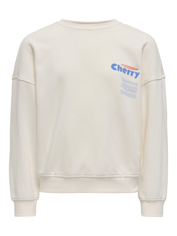 Sweatshirt mit Frontprint
