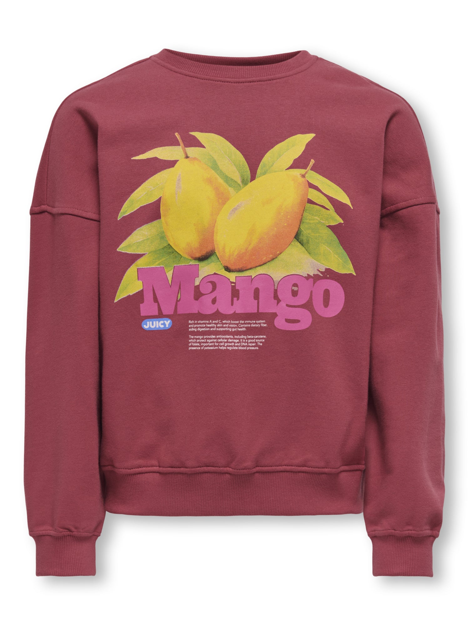 ONLY Kids Pullis & Sweats  rot