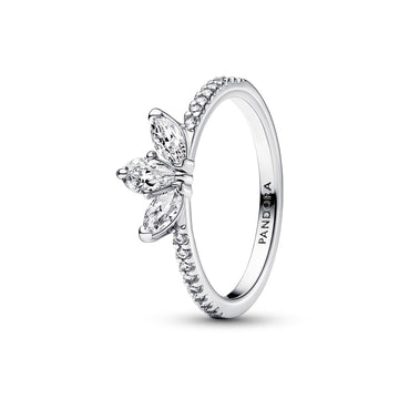 Cluster Ring