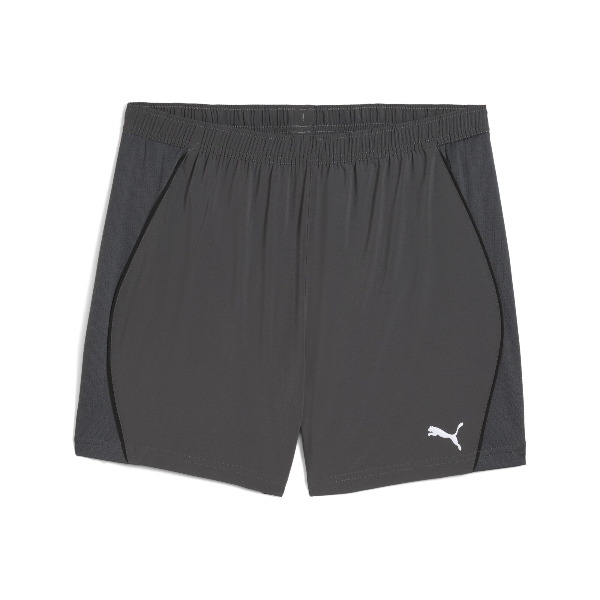 Puma Shorts  grau